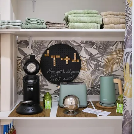 Apartmán Magnifique T3 Centre Avec Wifi Rdc Limoux