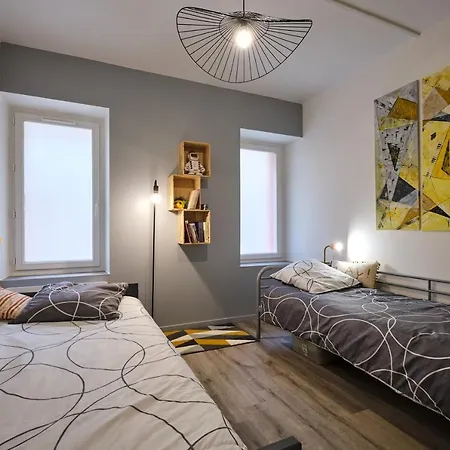 Magnifique T3 Centre Avec Wifi Rdc Apartmán Limoux